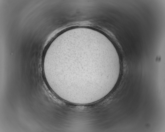 X0000114681176200911121450