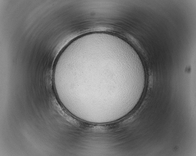 X0000114681178200911121450