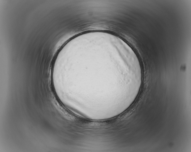 X0000114681179200911121450