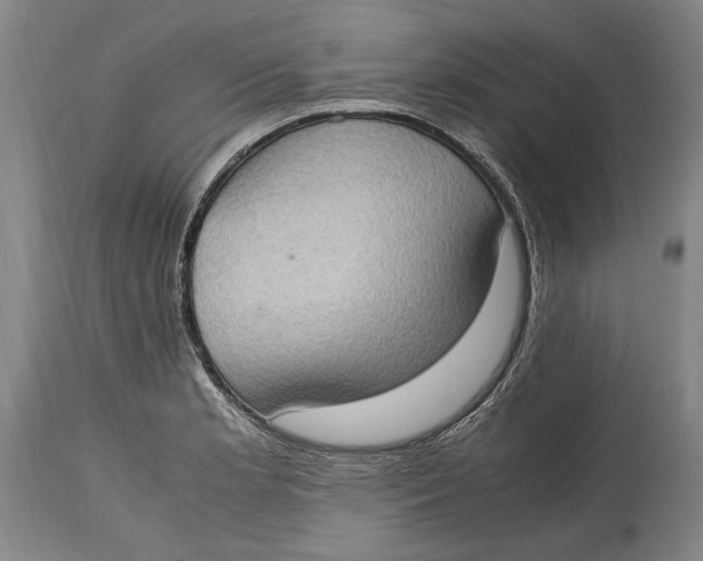 X0000114681181200911121450