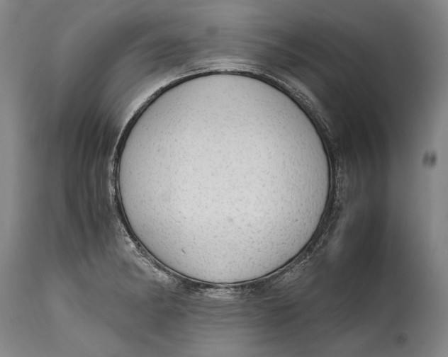 X0000114681182200911121450