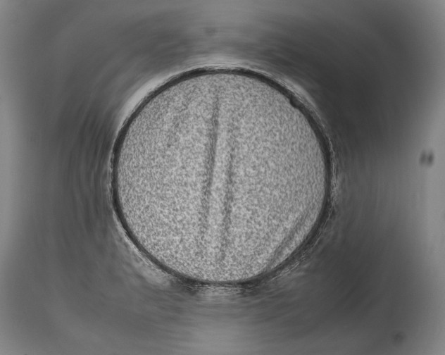 X0000114681183200911121450