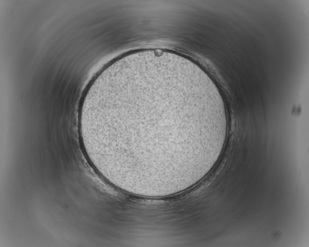 X0000114681184200911121450