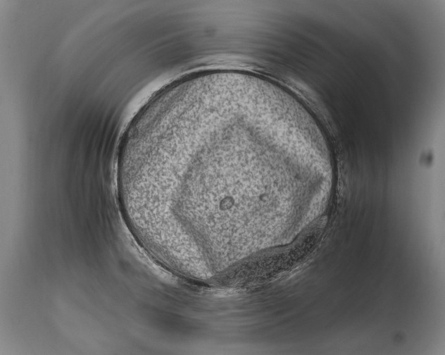 X0000114681188200911121449