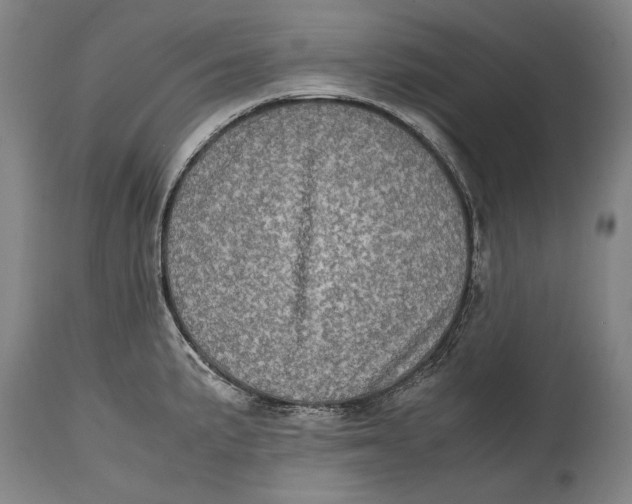 X0000114681191200911121449