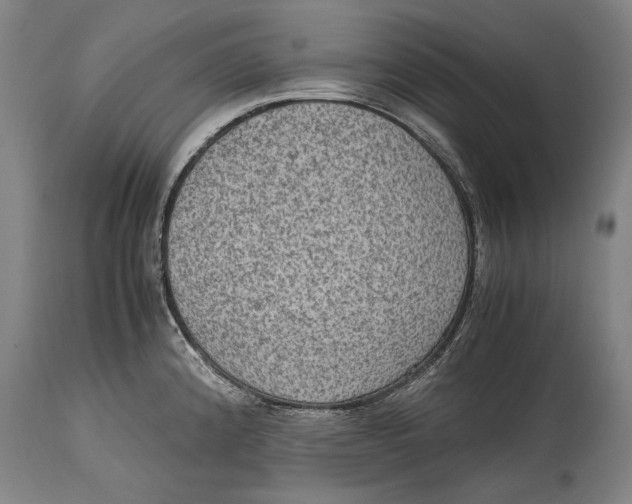 X0000114681192200911121449