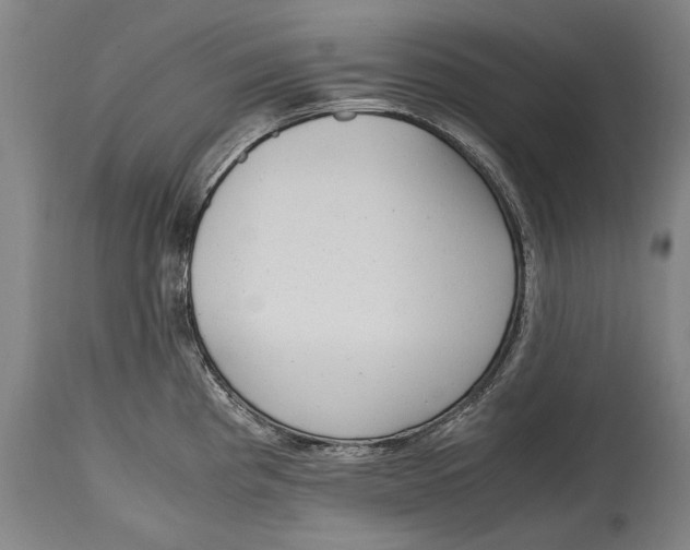 X0000114681193200911121449