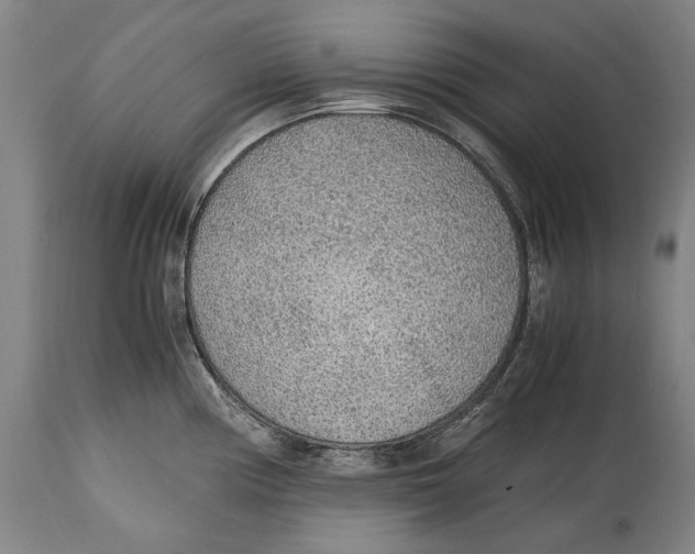 X0000114681194200911121449