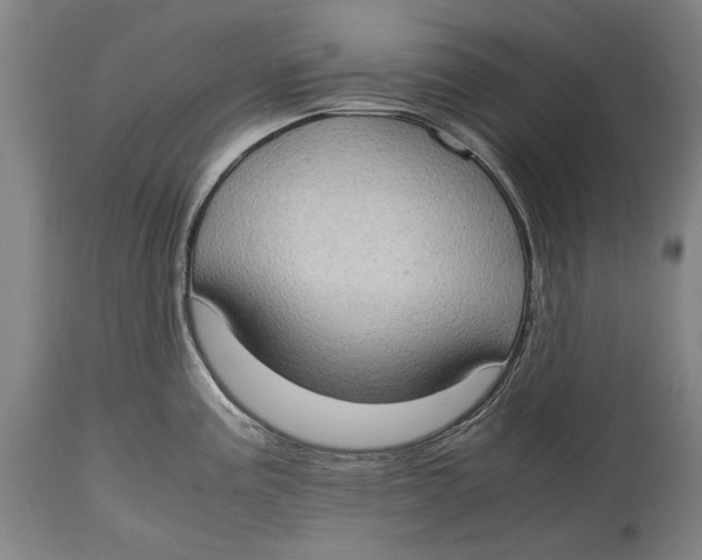 X0000114681195200911121449
