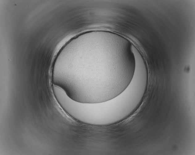 X0000114681196200911121449