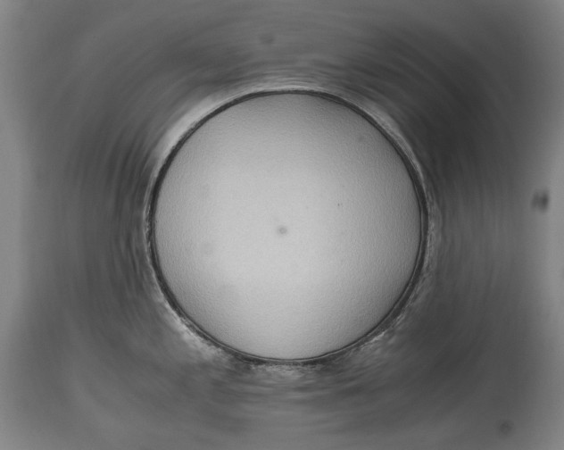 X0000114681197200911121449