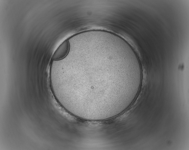 X0000114681198200911121449