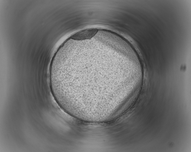 X0000114681199200911121449