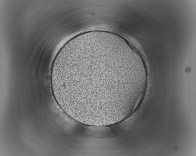 X0000114681200200911121449