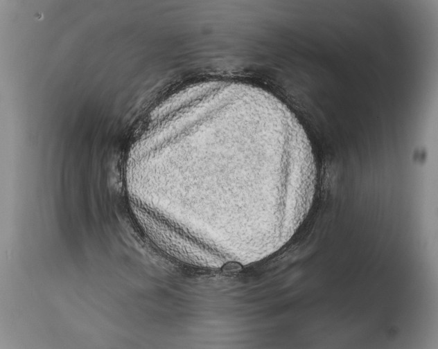 X0000114681202200911121449