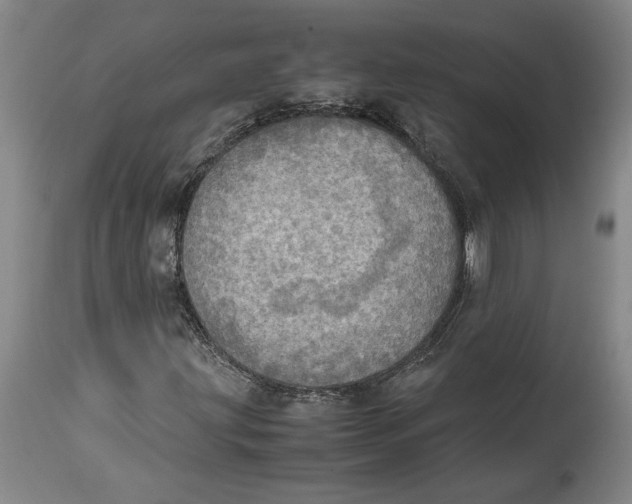 X0000114681203200911121449