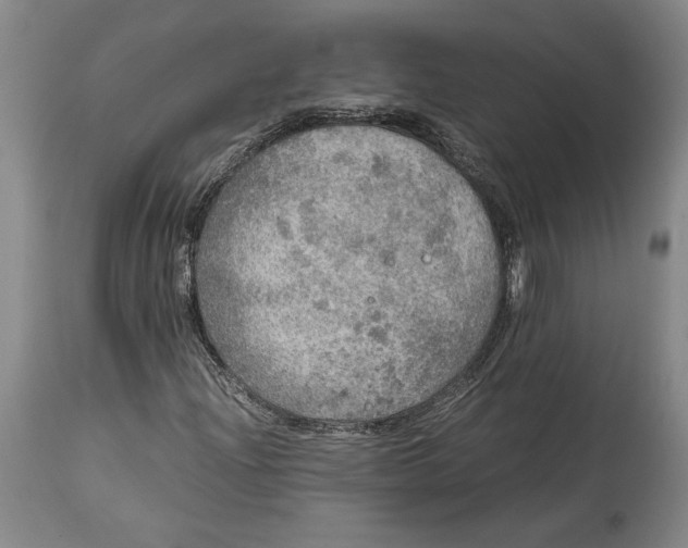 X0000114681204200911121449