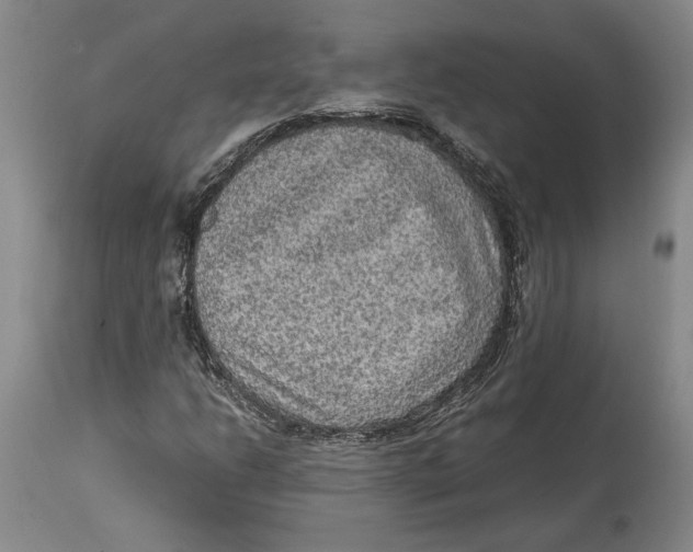 X0000114681206200911121449