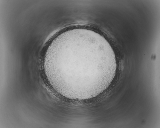 X0000114681208200911121449