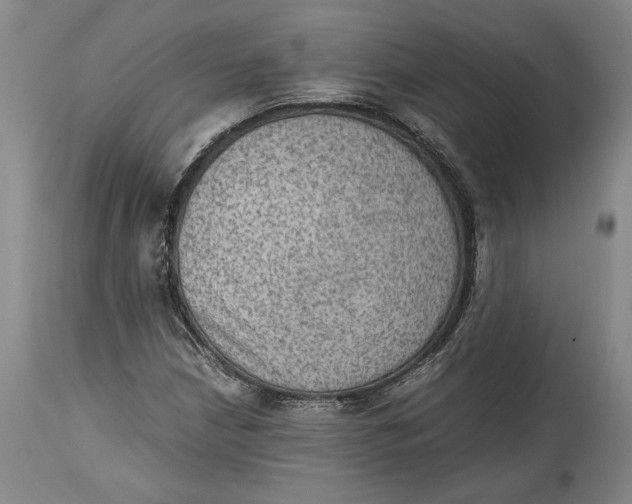 X0000114681210200911121449