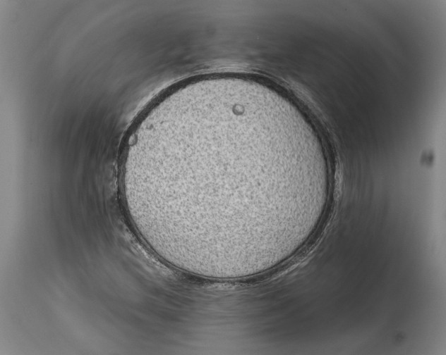 X0000114681212200911121449