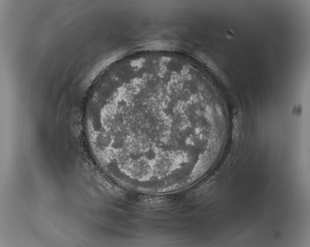X0000114681213200911121449