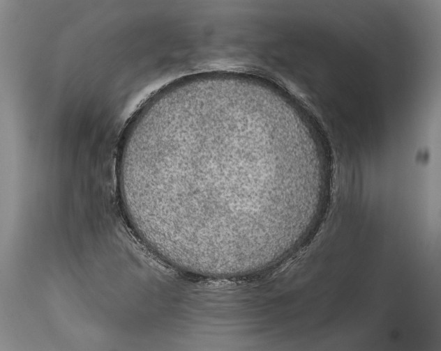 X0000114681214200911121449