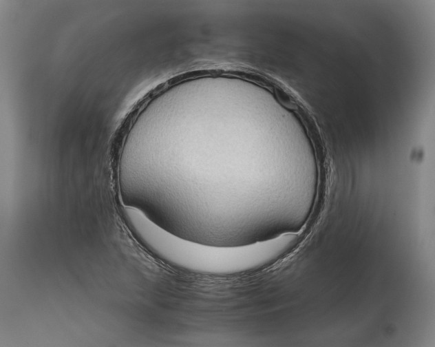 X0000114681215200911121449