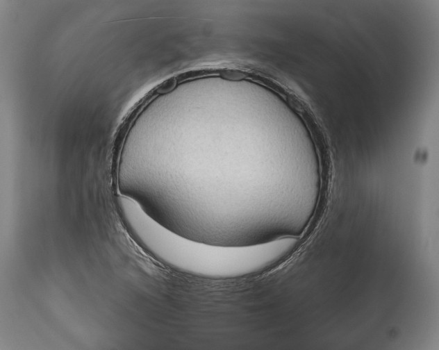 X0000114681216200911121449