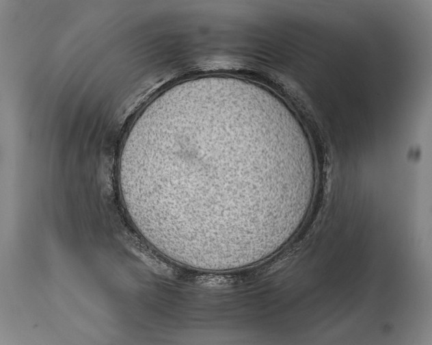 X0000114681217200911121449