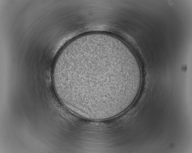 X0000114681218200911121449