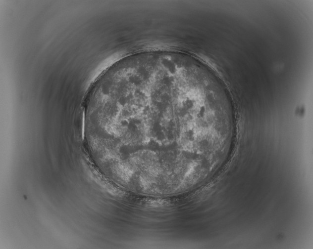 X0000114681219200911121449