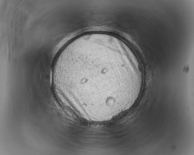 X0000114681221200911121449