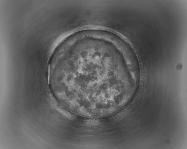 X0000114681223200911121449