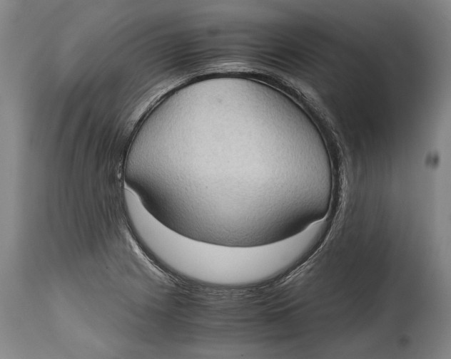 X0000114681225200911121449