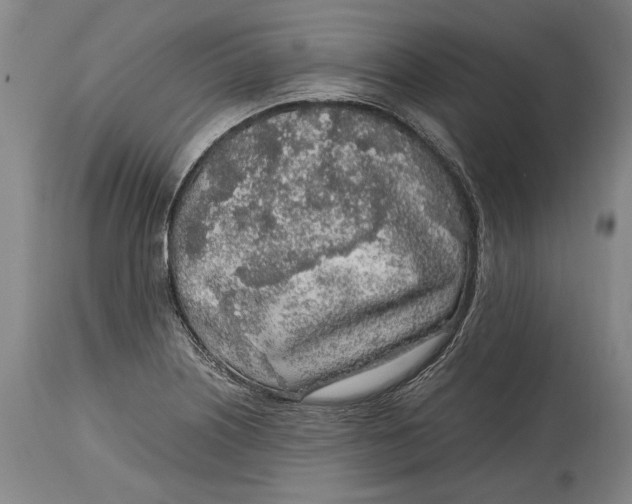 X0000114681226200911121449