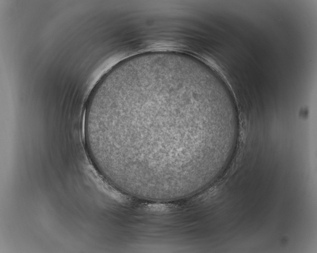 X0000114681227200911121449