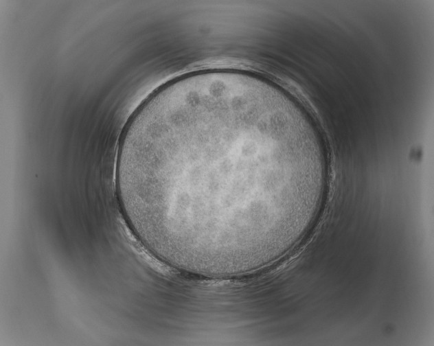 X0000114681228200911121449