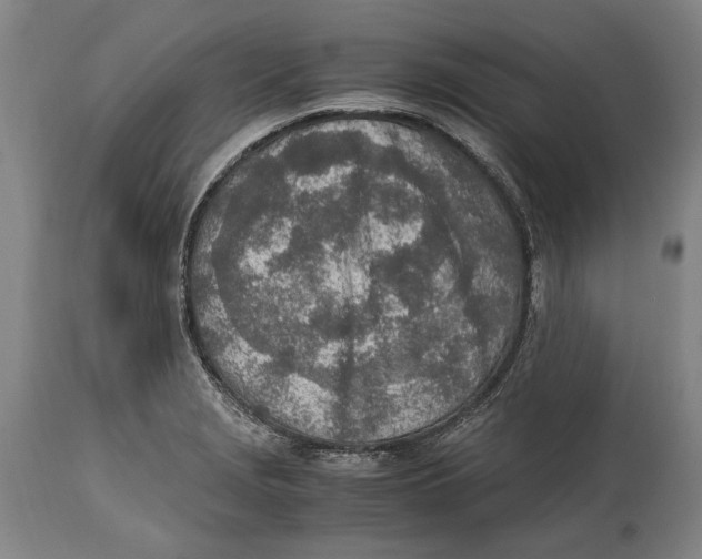 X0000114681229200911121449
