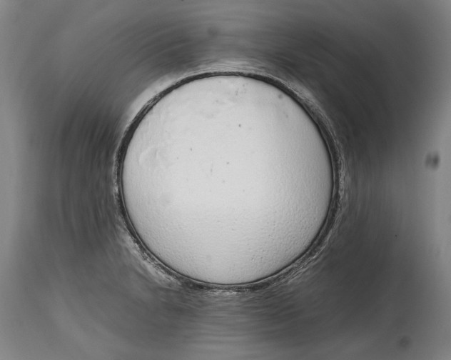 X0000114681230200911121449