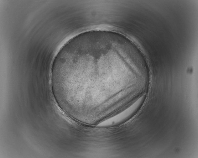 X0000114681232200911121449