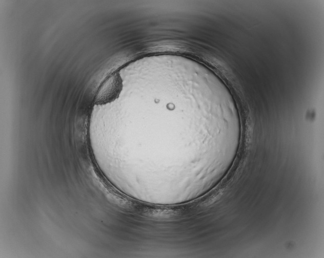 X0000114681233200911121449