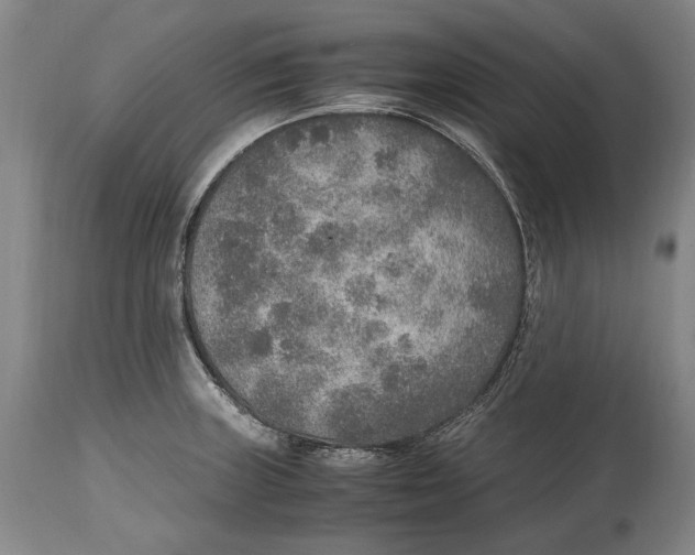 X0000114681235200911121449