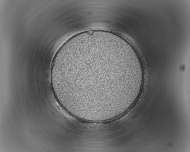 X0000114681236200911121449