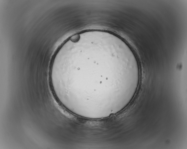 X0000114681237200911121449