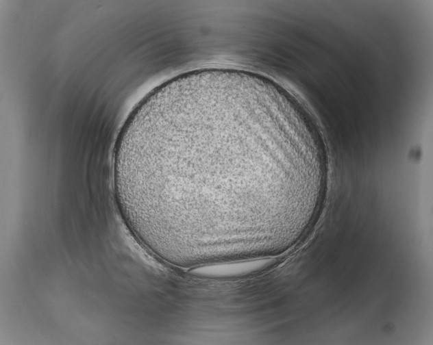 X0000114681238200911121449
