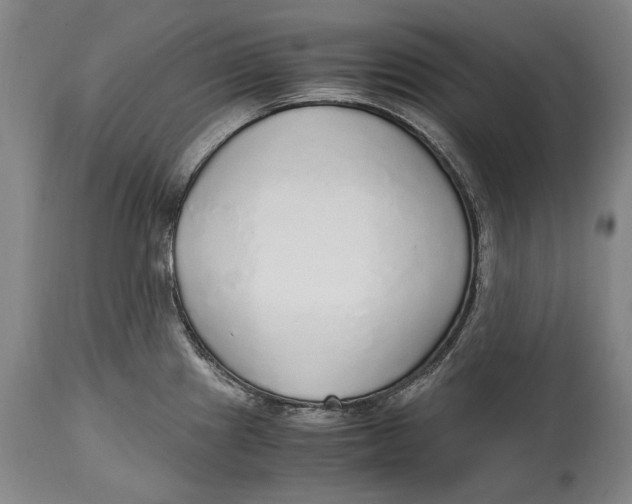 X0000114681241200911121449