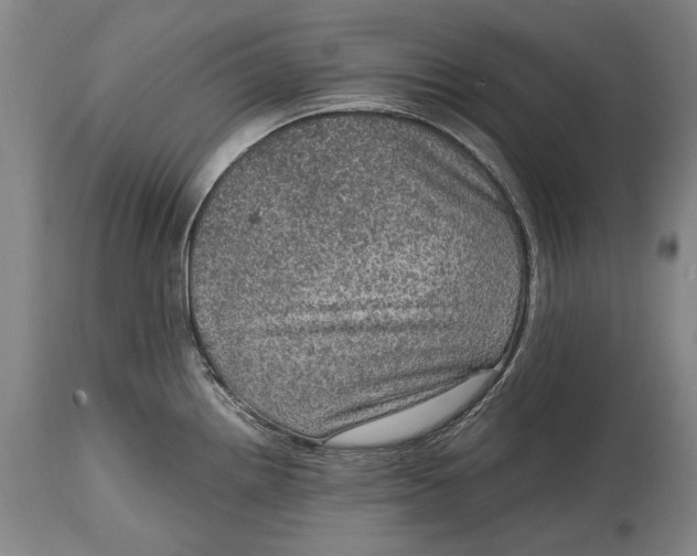 X0000114681242200911121449