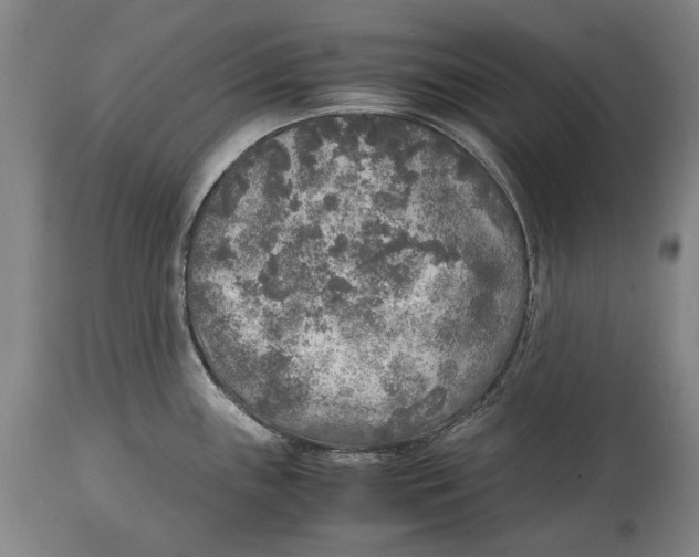 X0000114681243200911121449