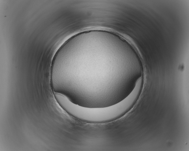 X0000114681244200911121449
